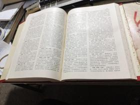 中国共产党历史大辞典 中国国际广播出版社（超厚）