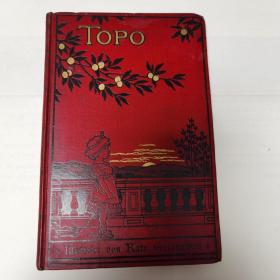 《Topo》Kate Greenaway插画 大量插画 精美封面 德文