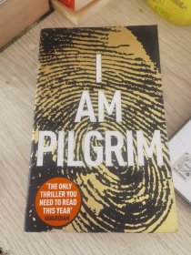 I AM PILGRIM