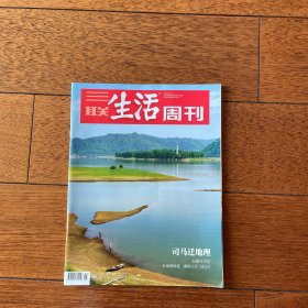 三联生活周刊2024年第45期 sfd