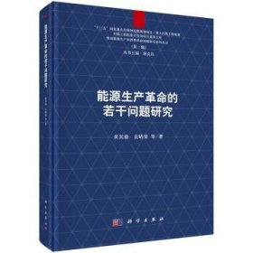 【正版新书】 能源生产的若干问题研究 黄其励，袁晴棠 等 科学出版社