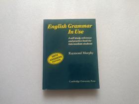 English Grammar In Use