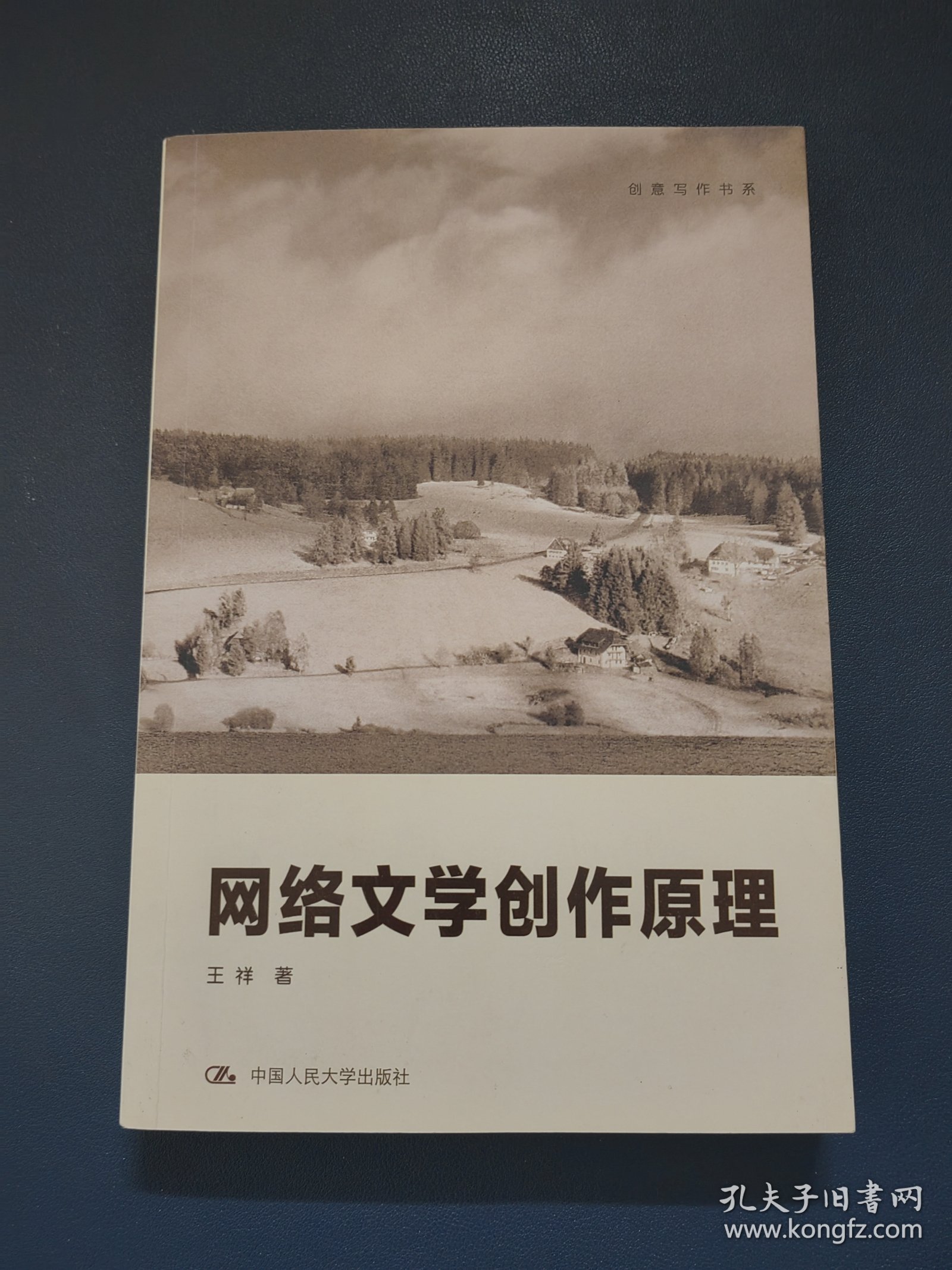 创意写作书系：网络文学创作原理