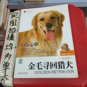 金毛寻回猎犬