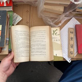 山菊花（上下）