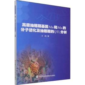 高粱抽穗期基因Ma₁和Ma₃的分子进化及抽穗期的TL分析