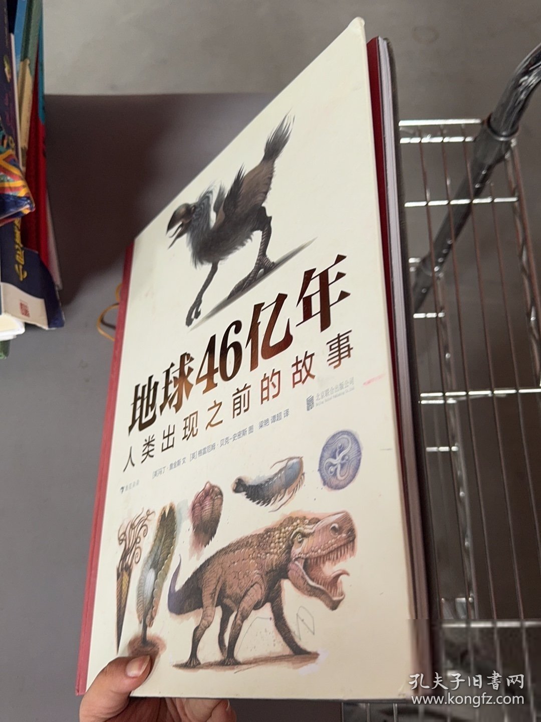 【正版新书】地球46亿年：人类出现之前的故事 回到史前时代，从大开始，亲历地球生命的兴衰演替。[英]马丁·詹金斯（Martin Jenkins）9787559654601