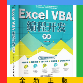 ExcelVBA編程開發(fā)（下冊）