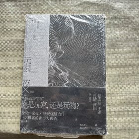 玩家