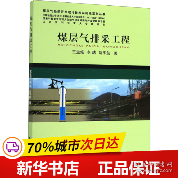 煤层气排采工程/煤层气勘探开发理论技术与实践系列丛书