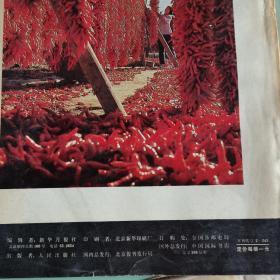 新华月报78-80年,24本