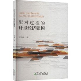 配对过程的计量经济建模