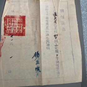 转学证书，1950年代初期信阳专区在职干部文化补习学校