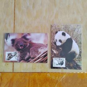 2枚／套   极限明信片  中国人民邮政明信片    MC23   考拉    熊猫   
MC23（2－1）至（2－2） 
1995-15考拉45邮票和熊猫2.90元邮票2枚
盖四川宝兴1995.9.1.8   6   625700邮戳