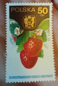 1974波兰邮票园艺大会草莓新一枚