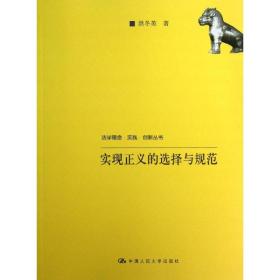 法学理念·实践·创新丛书：实现正义的选择与规范