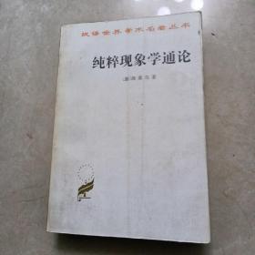 纯粹现象学通论