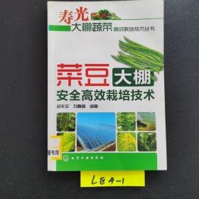 菜豆大棚安全高效栽培技术