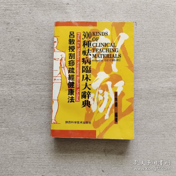 吕教授刮痧疏经健康法——300种祛病临床大辞典