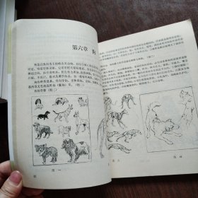 中国动物画技法大全:走兽卷