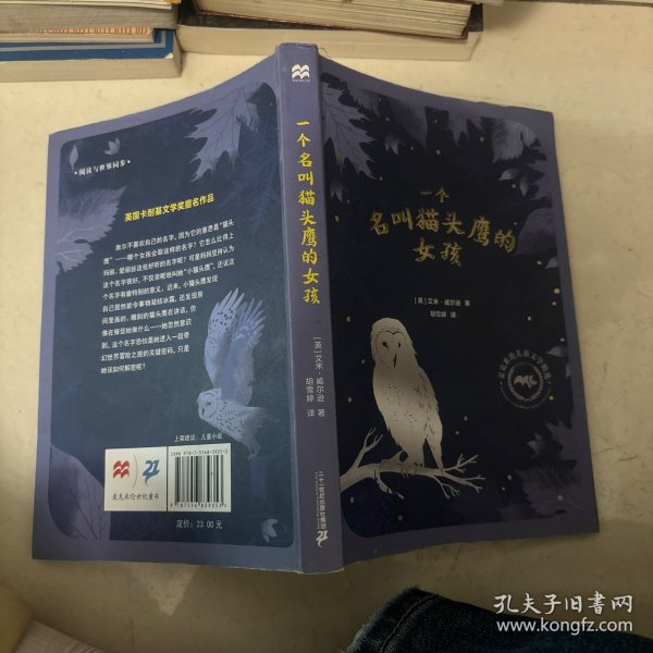 一个名叫猫头鹰的女孩 麦克米伦世纪