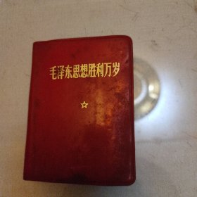 毛泽东思想胜利万岁