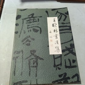 玉晓林書法集