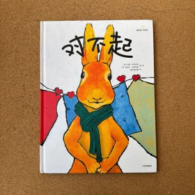 对不起【精装】