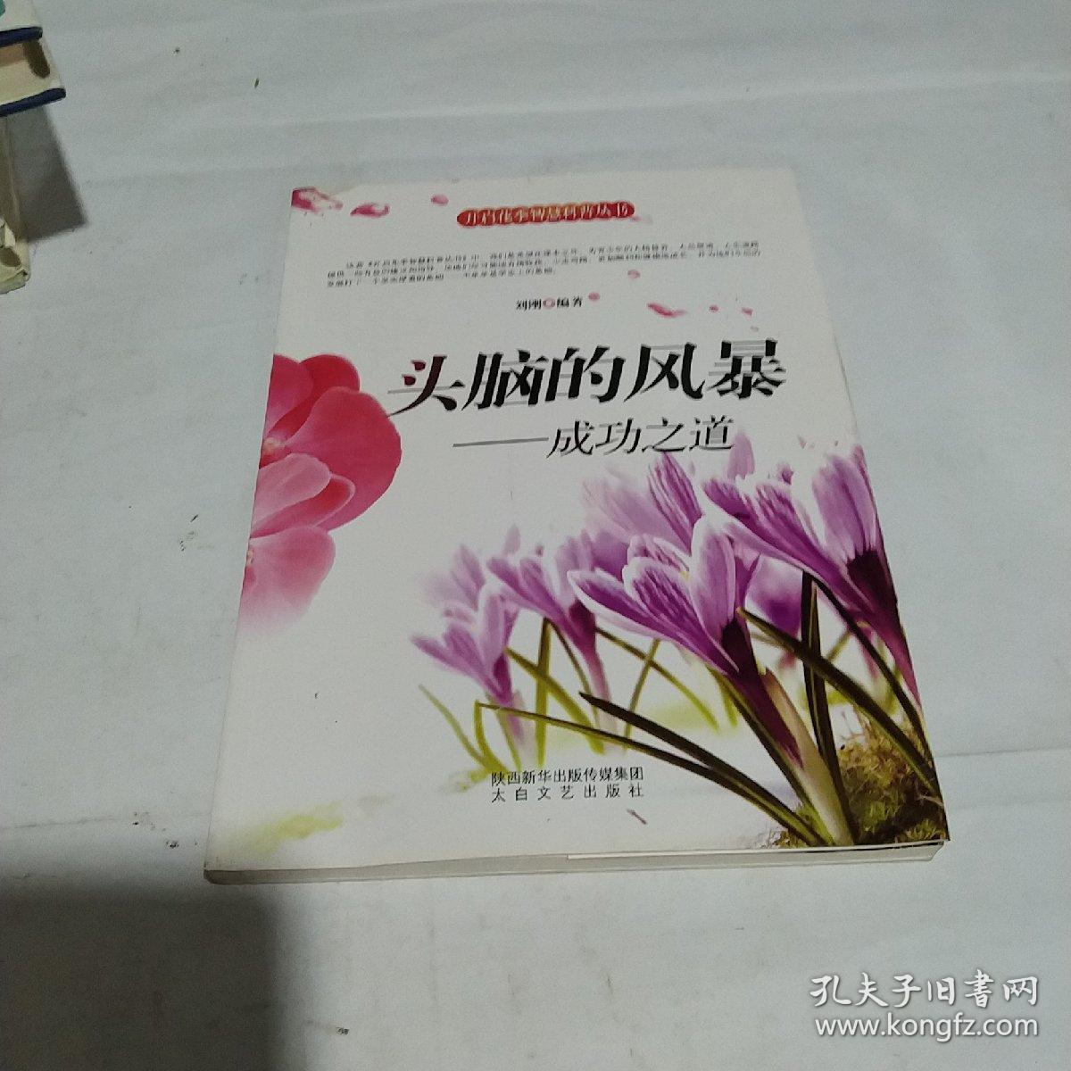 开启花季智慧科普丛书·头脑的风暴：成功之道