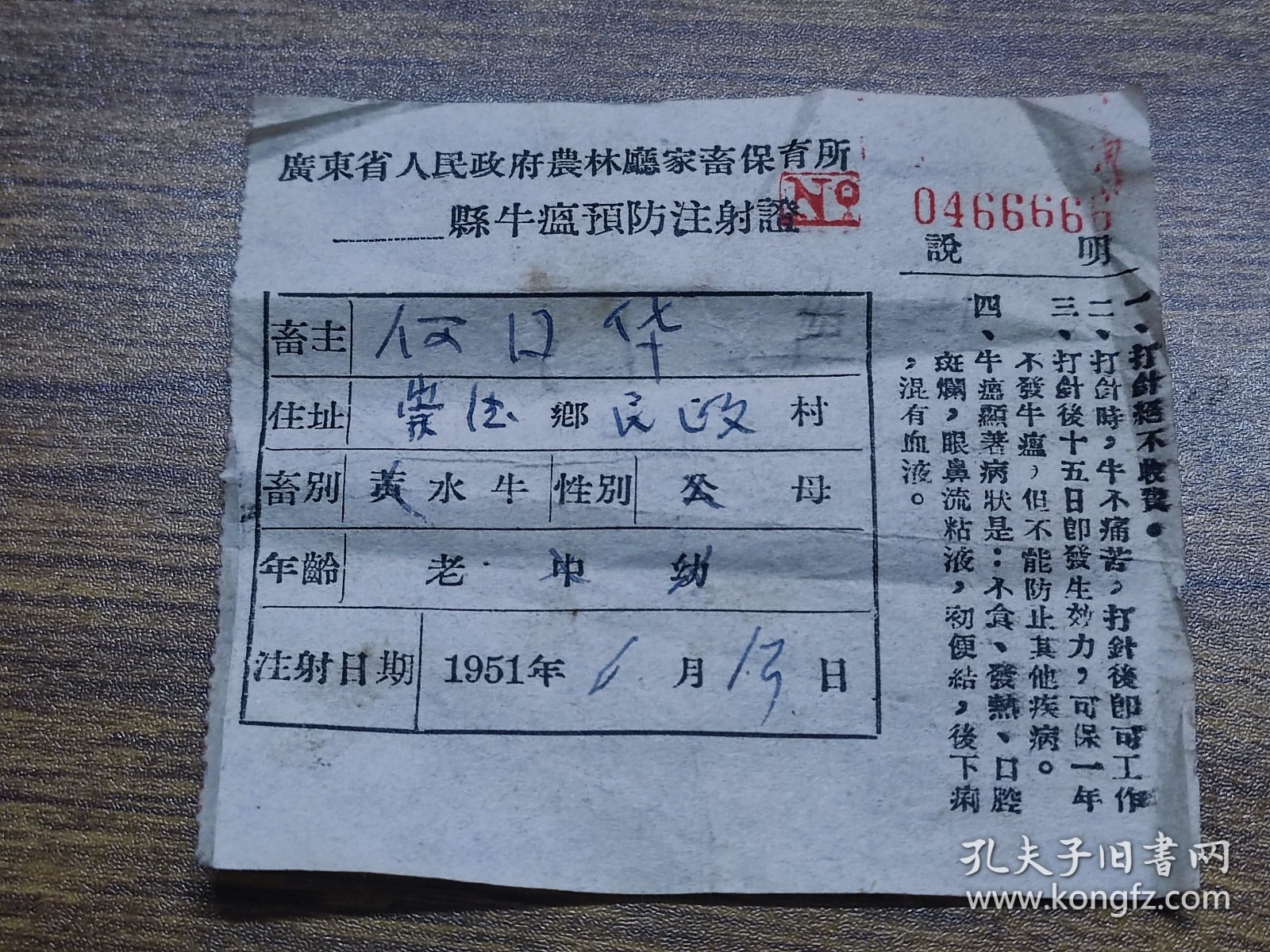 1951年广东省人民政府农业厅家畜保育所牛瘟预防注射证（南海县崇德乡）