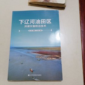 下辽河油田区洪潮灾害防治技术