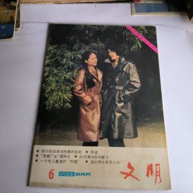 文明1985年第6期總29期