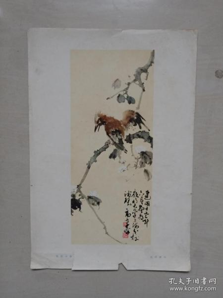 八开美术作品，文革前印刷高奇峰绘画的国画作品《梨花山鸟》，实物图