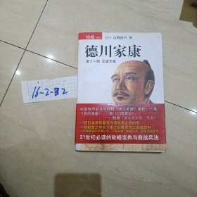 德川家康（第十一部）：王道无敌