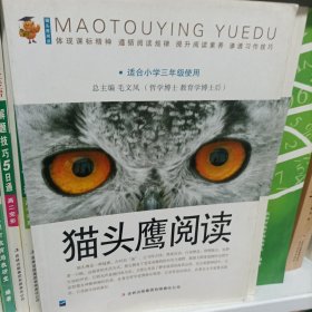 猫头鹰阅读：适合小学三年级使用