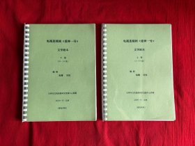 电视连续剧《爱神一号》文学剧本 上下册（1-38集）