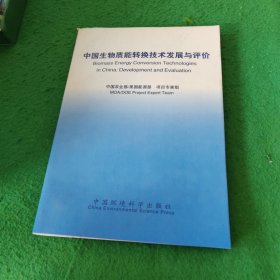 中国生物质能转换技术发展与评价