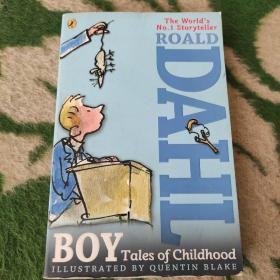 Boy Tales of Childhood