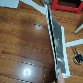 义务教育三（四）年制初中生物教学挂图植物的主要类群 二（10张合售）