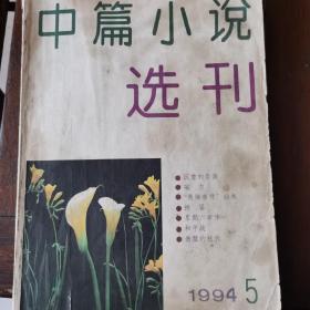 中篇小说选刊1994年第5期