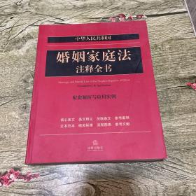 中华人民共和国：婚姻家庭法注释全书（配套解析与应用实例）