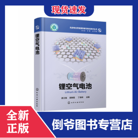 先进电化学能源存储与转化技术丛书--锂空气电池