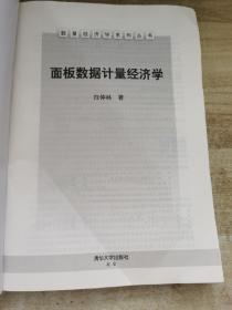 面板数据计量经济学/数量经济学系列丛书