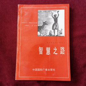 智慧之路（现代社会与文化丛书）