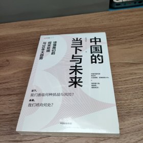 中国的当下与未来