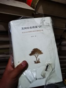 美国历史的深与广：纪念历史学家杨生茂百年诞辰论文集