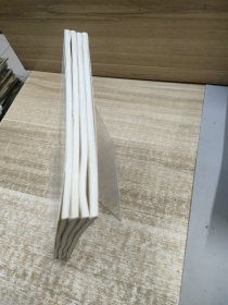 百年百首优秀儿童诗全4册套装共四册 捉迷藏·木舟树+萤火虫·蒲公英+星星树·花纽扣+雨后天.问银河 (四册合售)