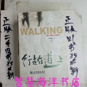 行走在道上