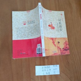 中华精神家园书系 博大文学 词苑漫步：词的历史与艺术特色