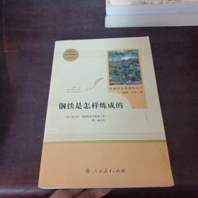 统编语文教材配套阅读 八年级下：钢铁是怎样炼成的/名著阅读课程化丛书